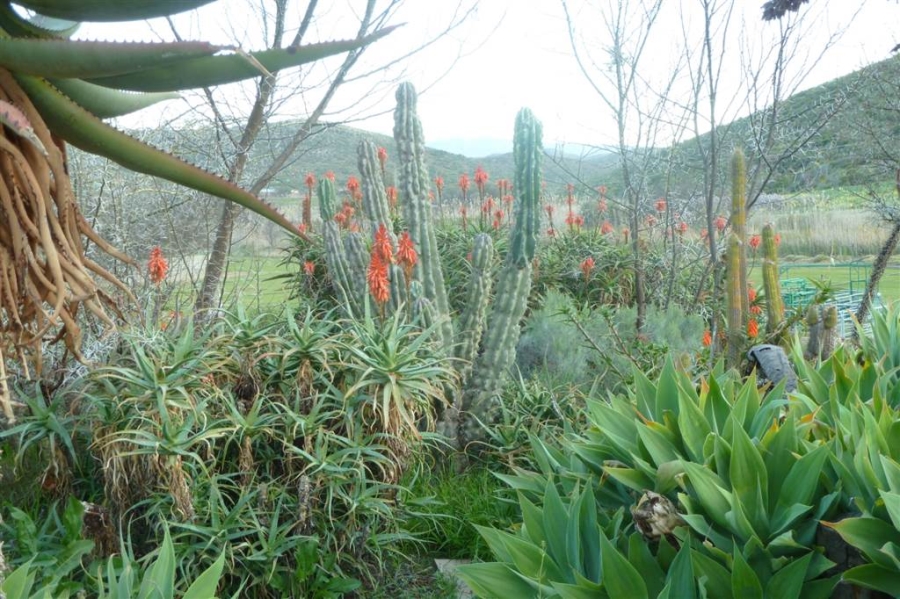 10 Bedroom Property for Sale in Ladismith Rural Western Cape